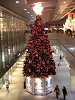 s_PICT0011_thumb.png